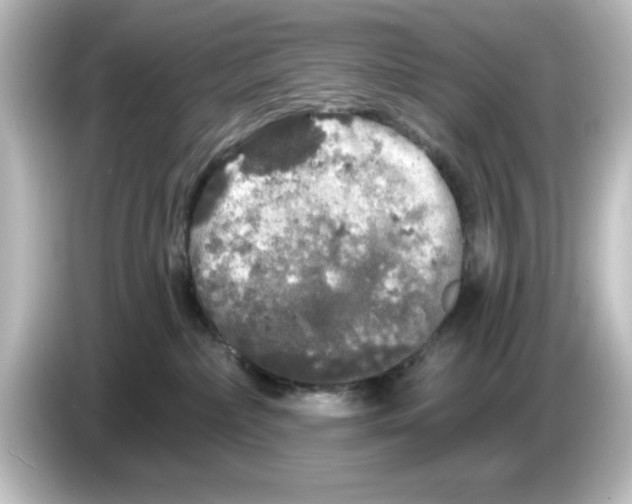 X0000084580236200703161746