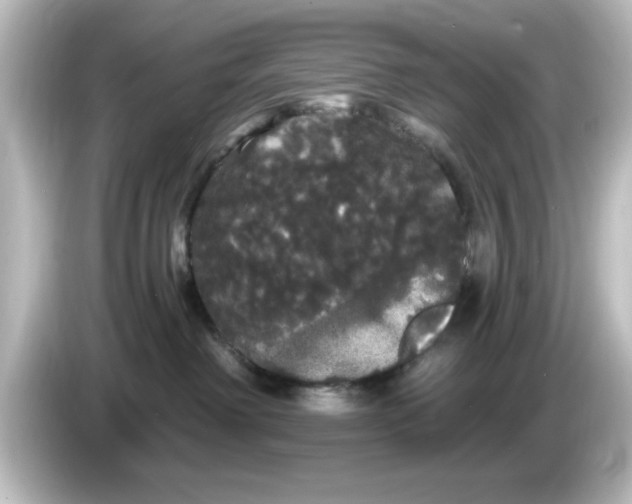 X0000084580238200703161746