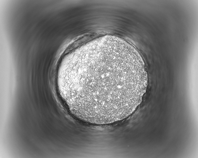 X0000084580241200703161746