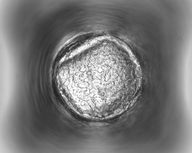 X0000084580242200703161746