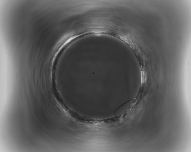 X0000084580243200703161746