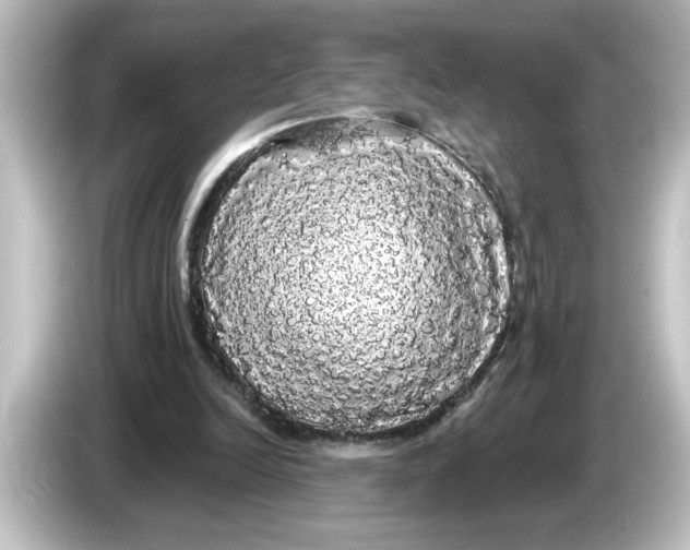 X0000084580246200703161746