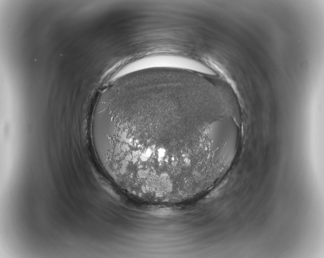 X0000084580249200703161746