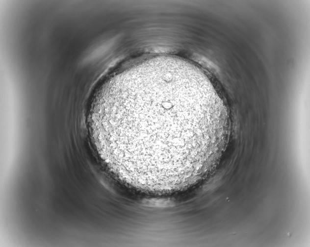 X0000084580251200703161746