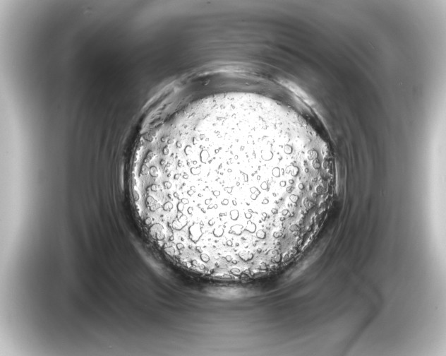 X0000084580253200703161746