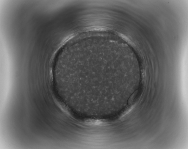 X0000084580254200703161746