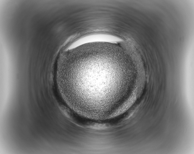 X0000084580256200703161746