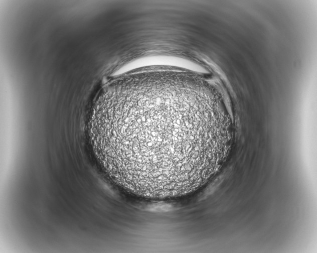 X0000084580257200703161746