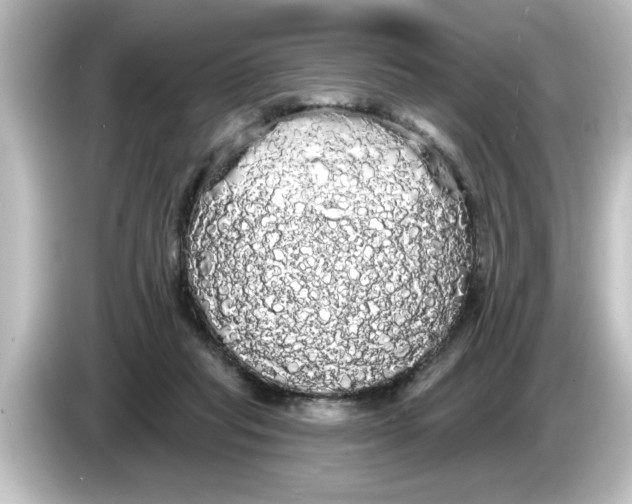 X0000084580261200703161746