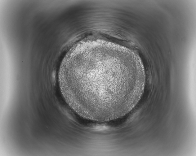 X0000084580262200703161746