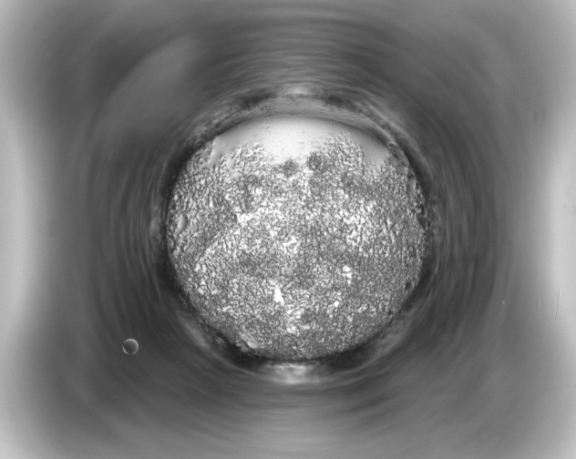 X0000084580265200703161746