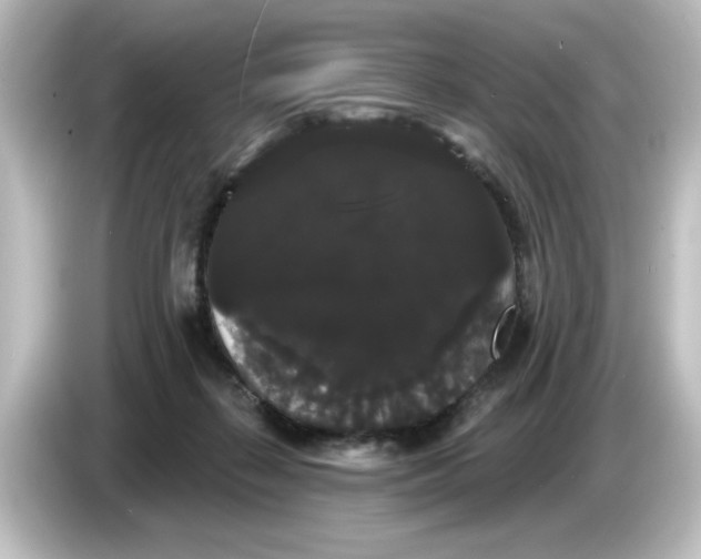 X0000084580267200703161746