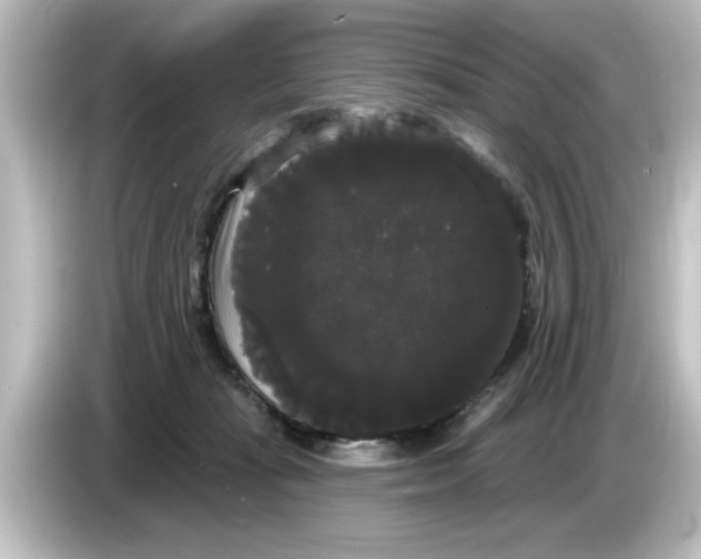 X0000084580269200703161746