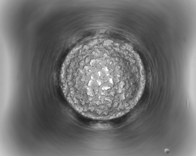 X0000084580270200703161746
