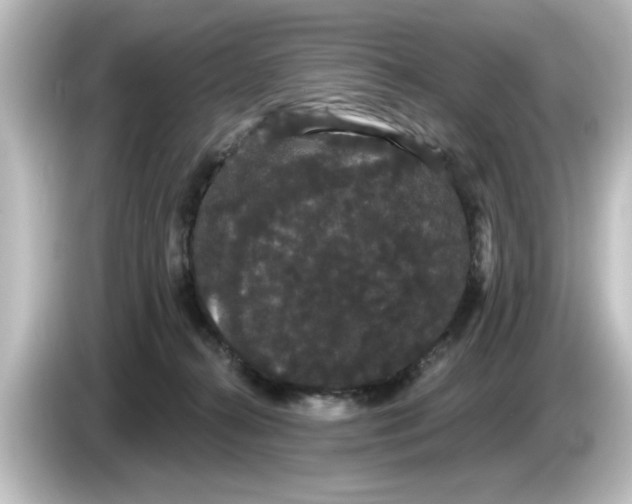 X0000084580272200703161746