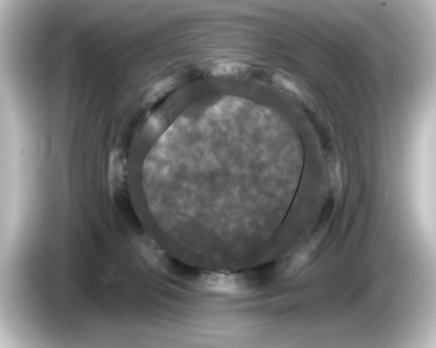X0000084580276200703161746