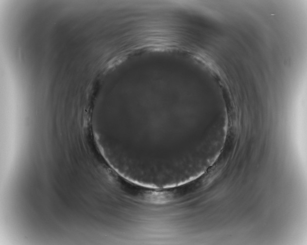 X0000084580277200703161746