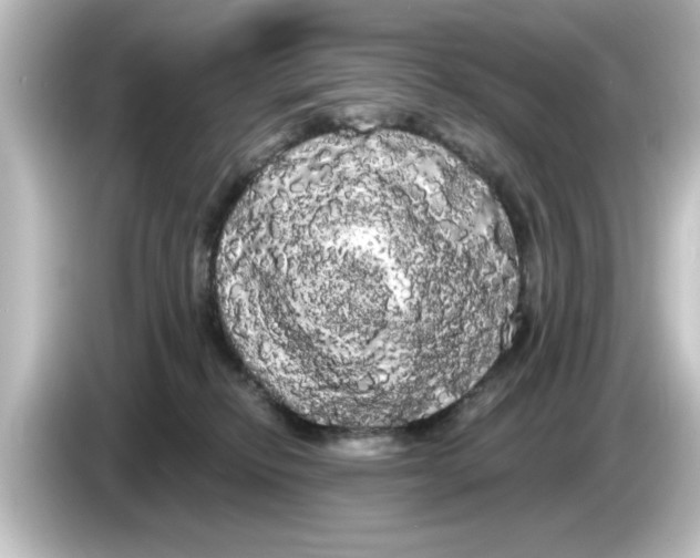X0000084580278200703161746
