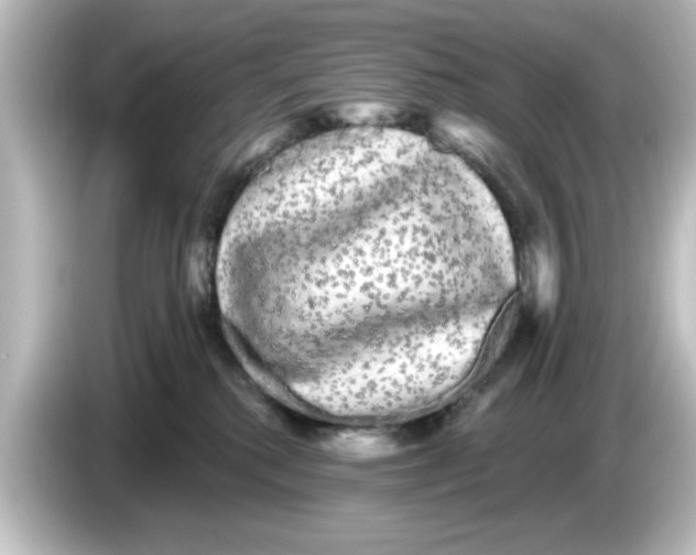 X0000084580280200703161746