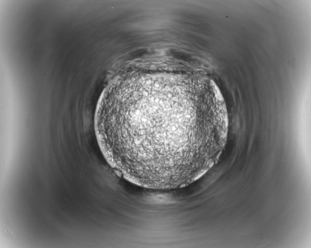X0000084580283200703161746