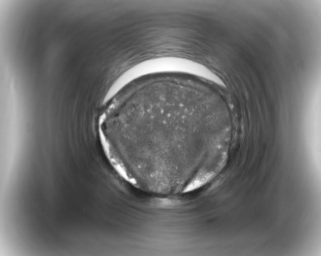 X0000084580286200703161746