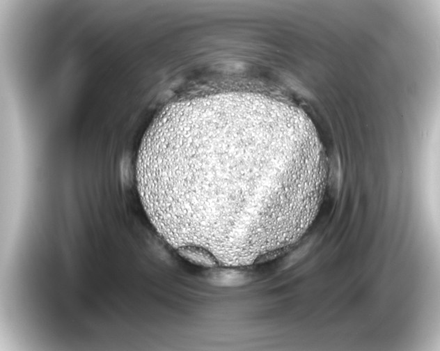 X0000084580287200703161746
