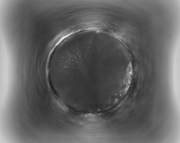 X0000084580290200703161746