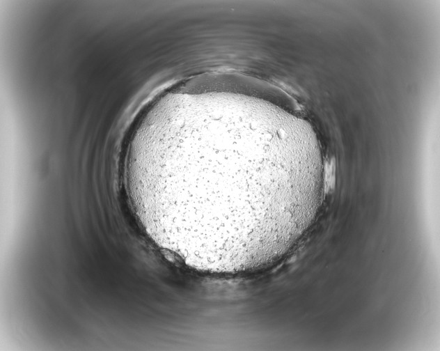 X0000084580291200703161746