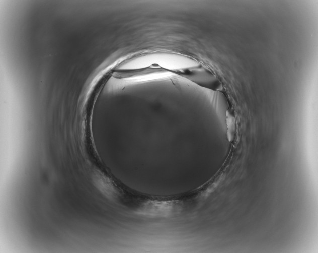 X0000084580295200703161746