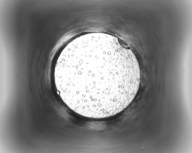 X0000084580296200703161746