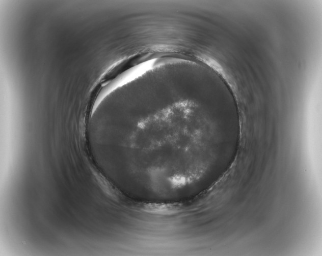 X0000084580297200703161746