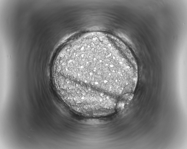 X0000084580298200703161746