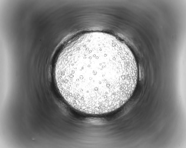 X0000084580300200703161746