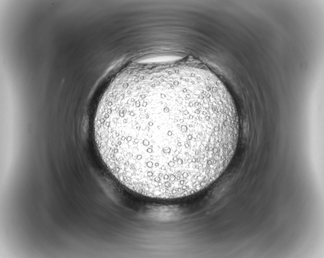 X0000084580304200703161745