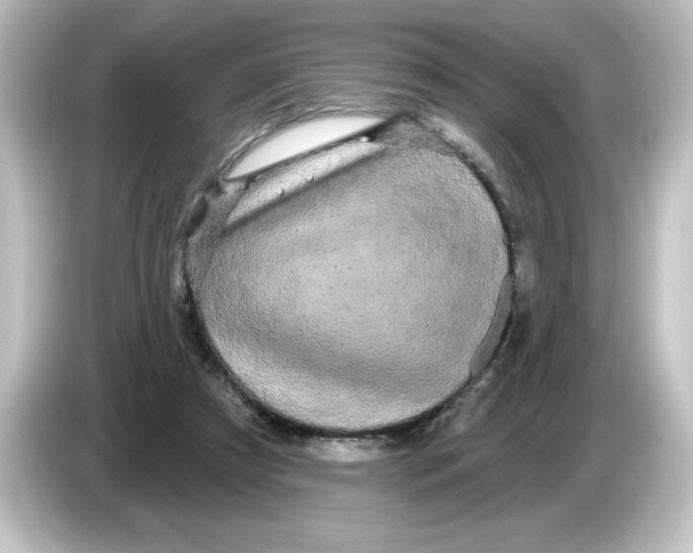 X0000084580305200703161745