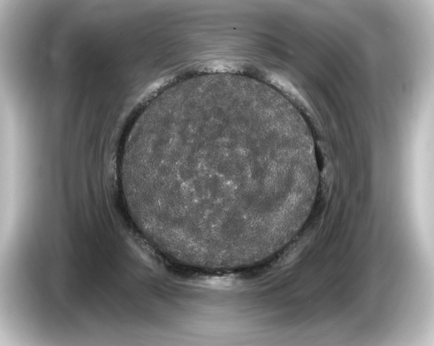 X0000084580306200703161745