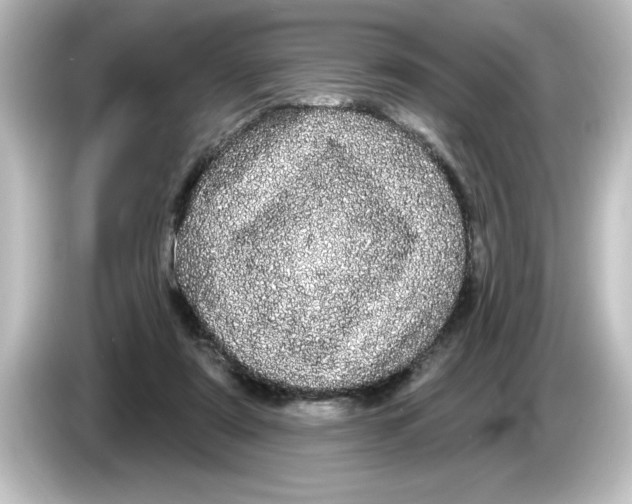 X0000084580307200703161745