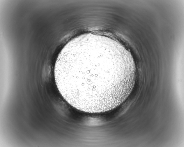 X0000084580308200703161745