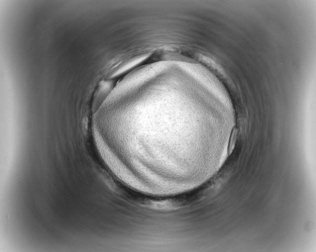 X0000084580309200703161745