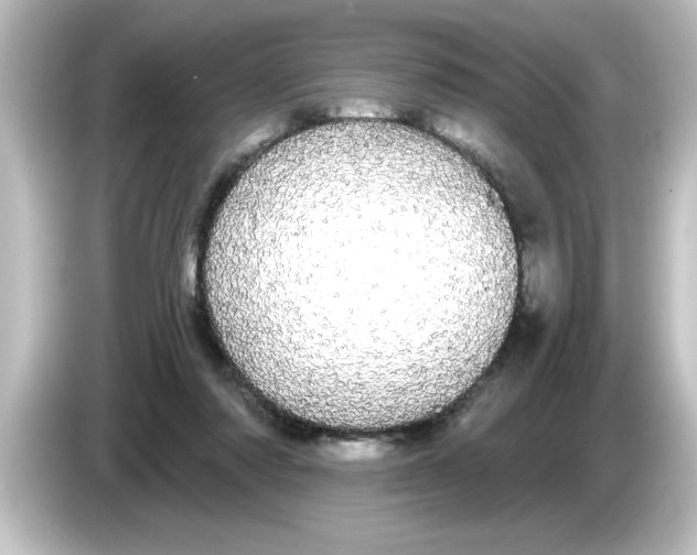 X0000084580310200703161745
