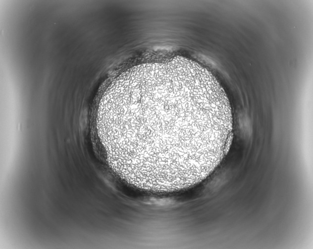 X0000084580311200703161745