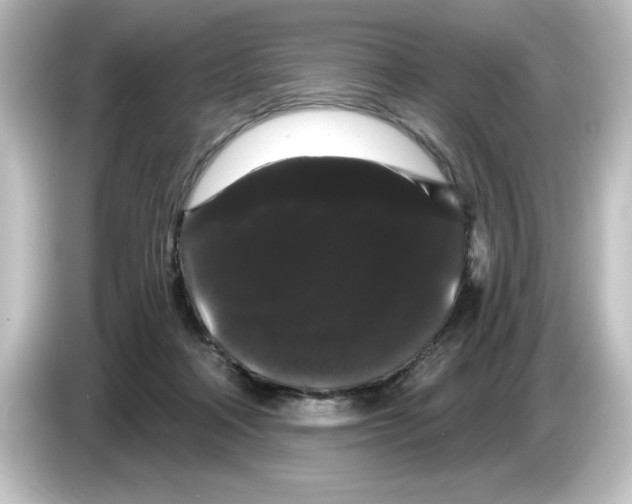 X0000084580314200703161745