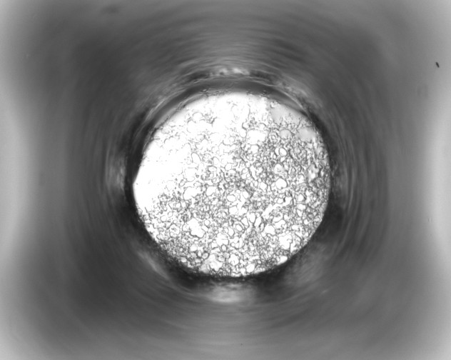 X0000084580315200703161745