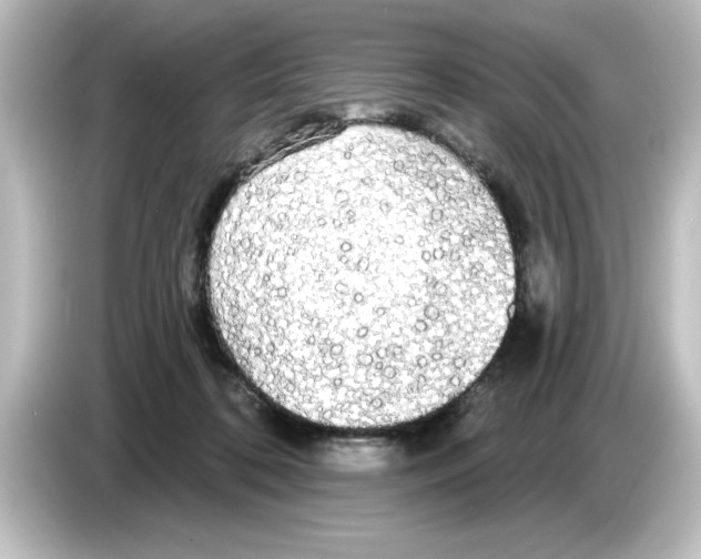 X0000084580316200703161745