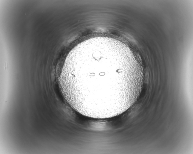 X0000084580318200703161745
