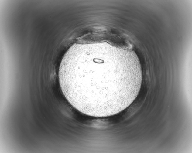 X0000084580320200703161745