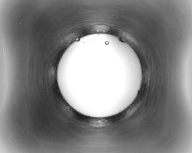 X0000084580321200703161745