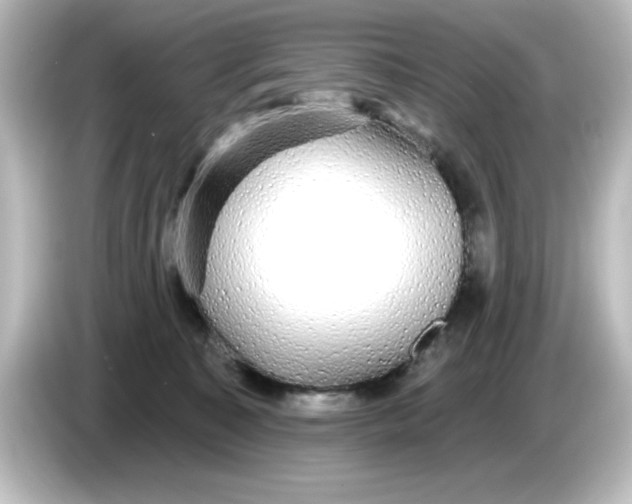 X0000084580323200703161745