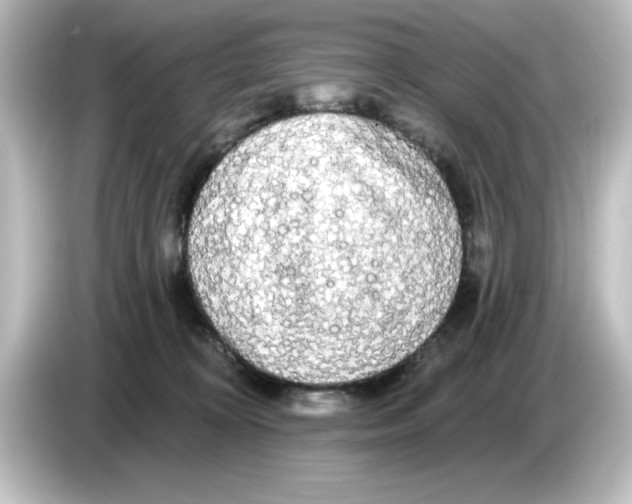 X0000084580324200703161745