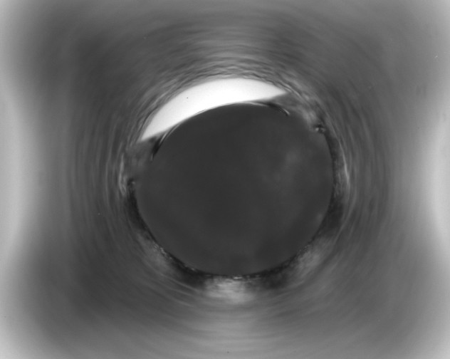 X0000084580325200703161745